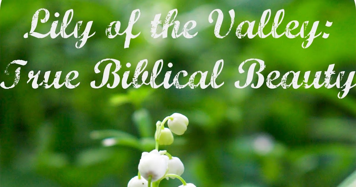 Lily of the Valley True Biblical Beauty (Intro) Whispers to the Heart