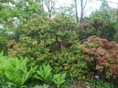 I Love Arnside Silverdale Snippets Of Wealth 16th May 2019