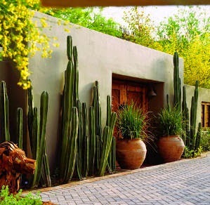 Cómo diseñar un jardín en el interior de tu casa - CASAS IDEAS