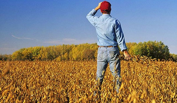 Δωρεάν σπόροι σε παραγωγούς οπωροκηπευτικών   Ποίοι δικαιούνται