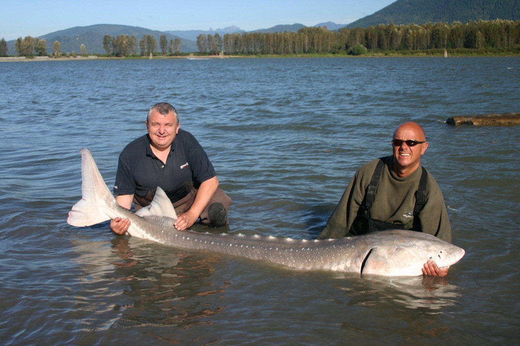 Real Monstrosities Sturgeon