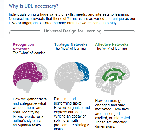 Overview of UDL/Differential Instruction Content Based Strategies and