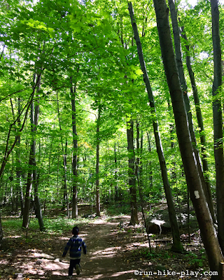 Stairway to Heaven Hike to Pinwheel Vista