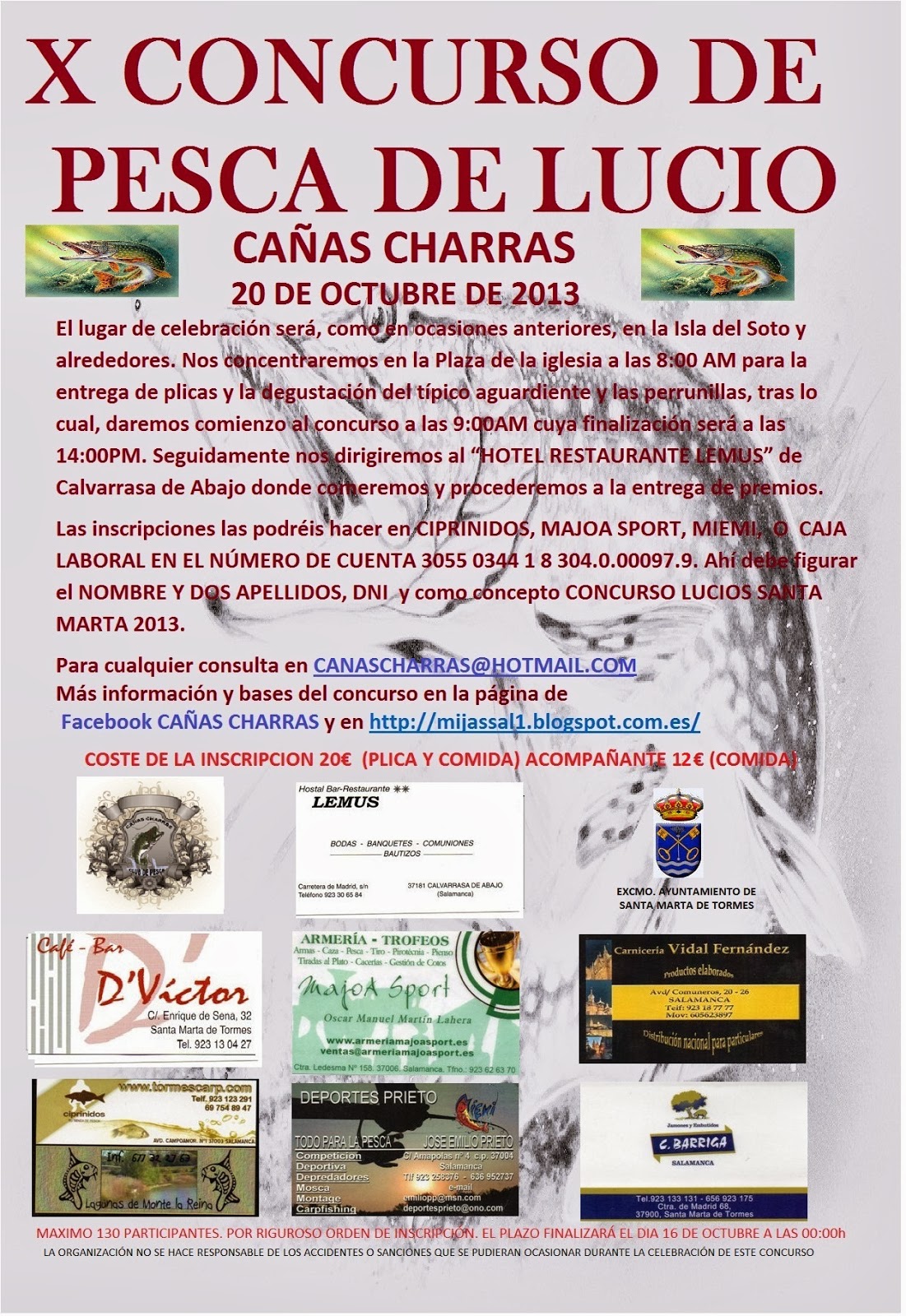Concurso Lucio Cañas Charras (Santa Marta de Tormes) 2013 CARTEL+NUEVO