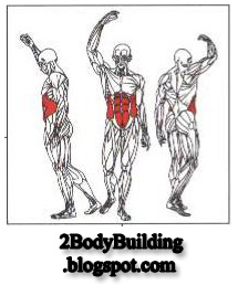 أهم تمارين لشد وتقوية عضلات البطن  Six+Packs