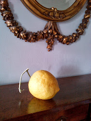 Still Life with Lemon