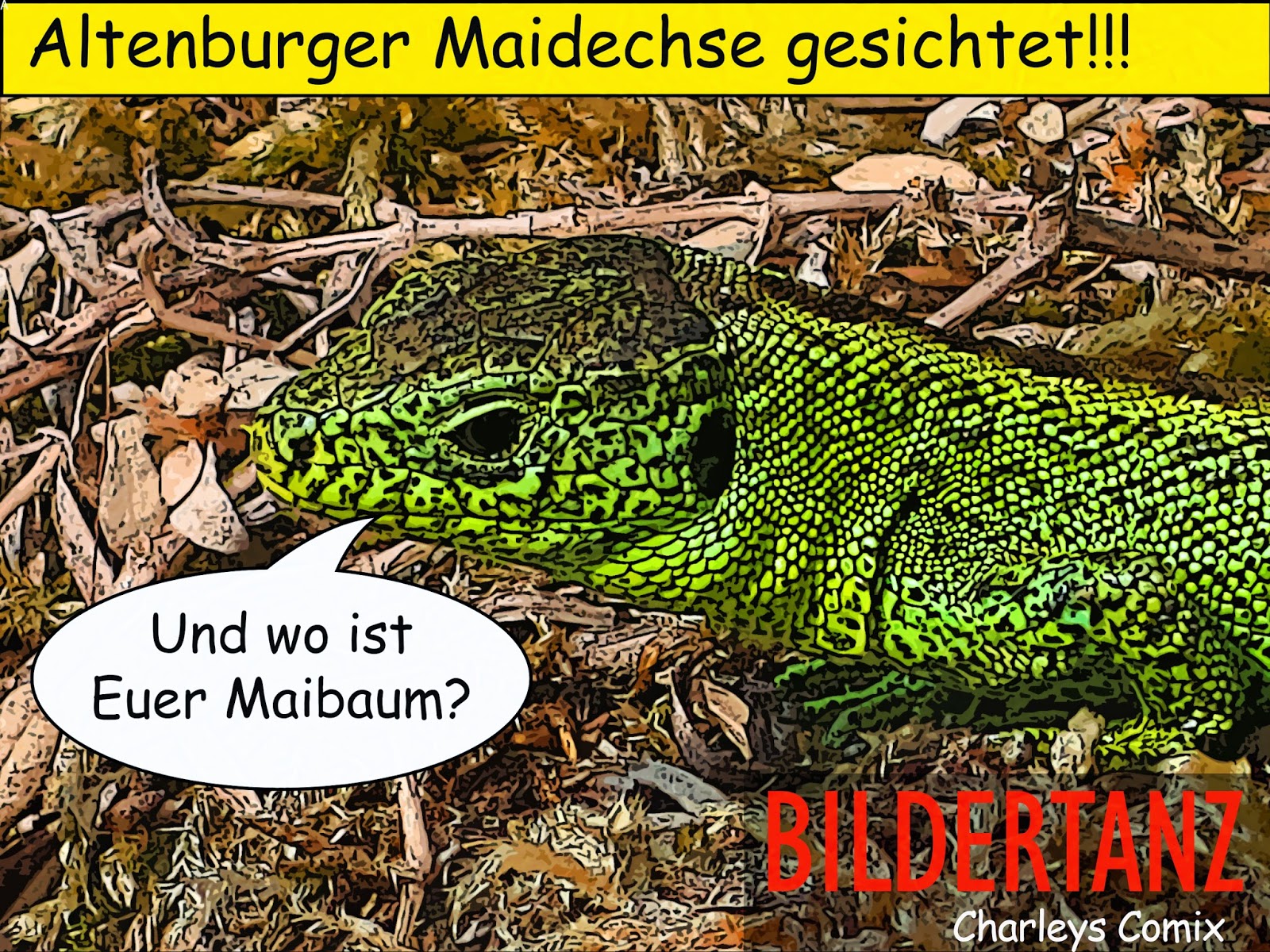 Altenburg Am Neckar April 2015