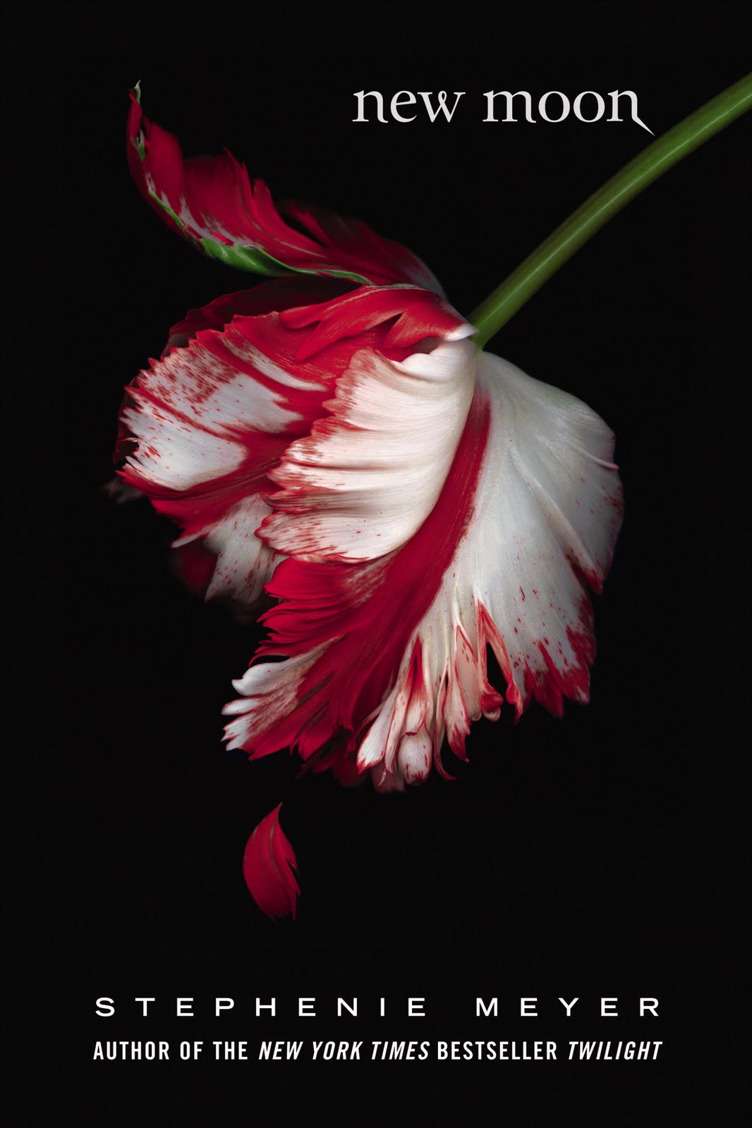 Stephenie Meyer New Moon (Book 2 of the Twilight Saga