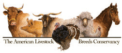 American Livestock Breeds Conservancy