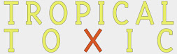 Tomer's process blog