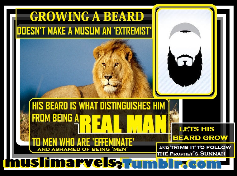 {MusliMarvels} notes, poetry, advice and Islamic wisdom from Mariam