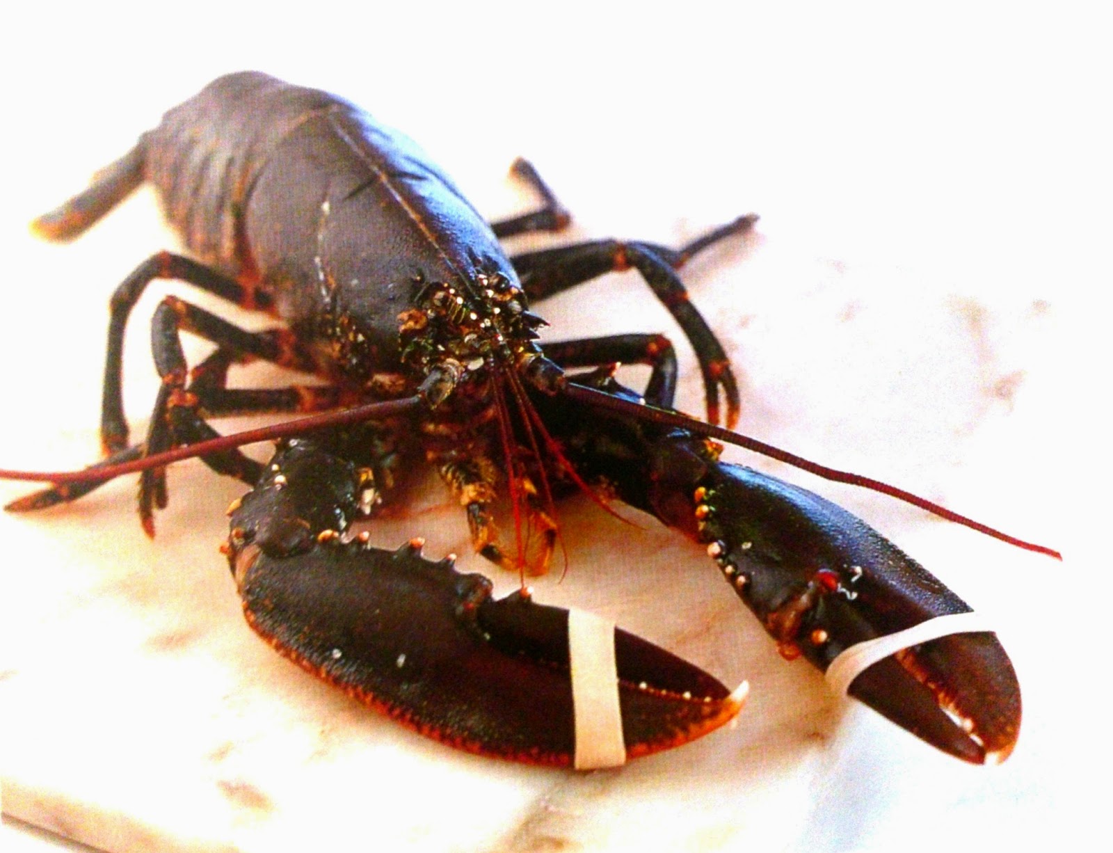 The most expensive crabs and lobsters in the world Specific Cook