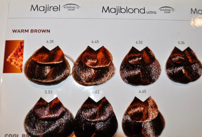 majirel l oreal professionnel6 dorati hair color charts healthy hair color at regine s salon by l oreal professionnel majirel rochelle rivera majirel l oreal professionnel6 dorati hair color charts healthy hair color at regine s salon by l oreal professionnel majirel rochelle rivera