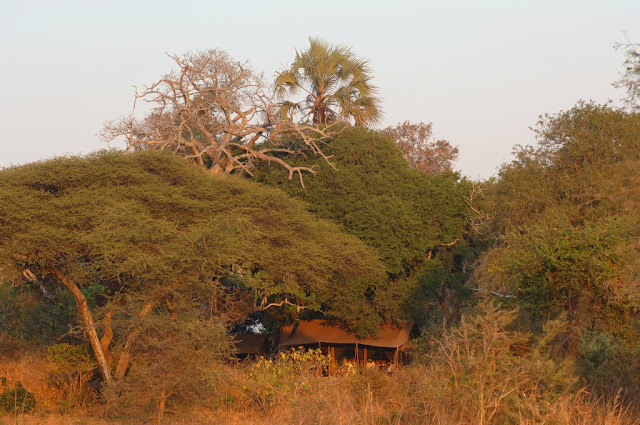 Chada Katavi Tanzania