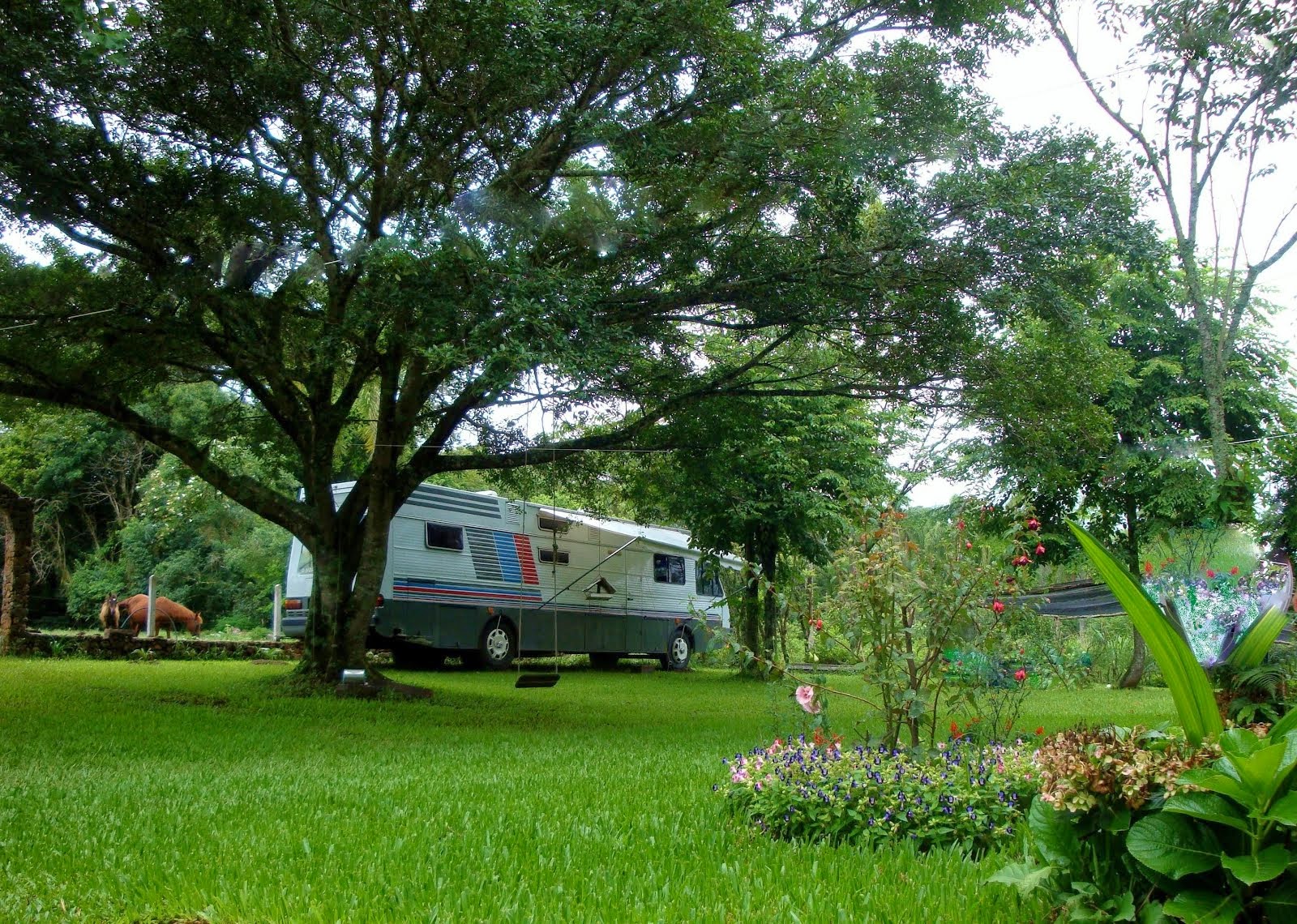 De férias e sempre em casa!