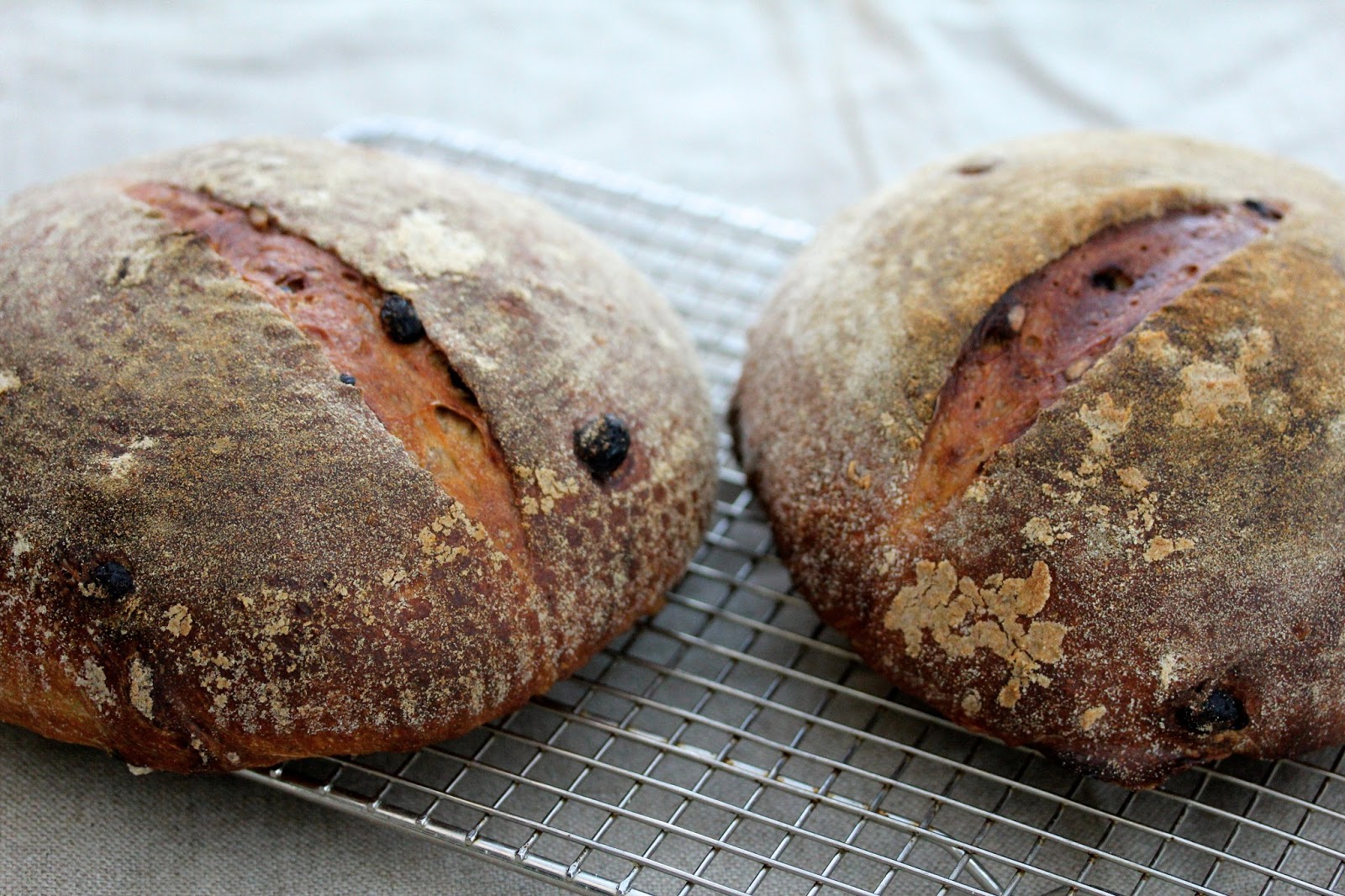 Sourdough Bread with Walnuts & Raisins Karen's Kitchen Stories