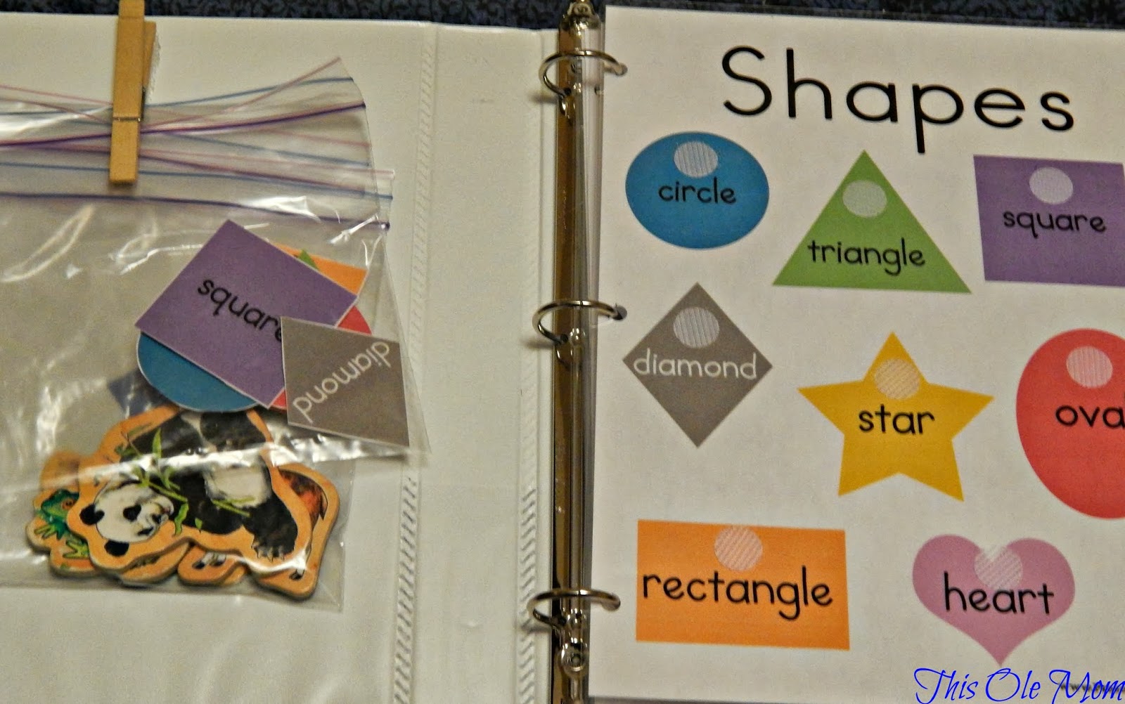 The Busy Book This Ole Mom