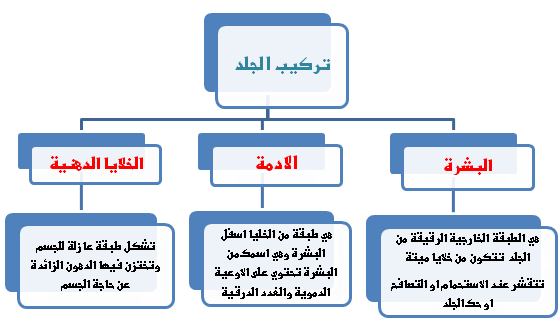 الصبغة التي تكسب الجلد لونه