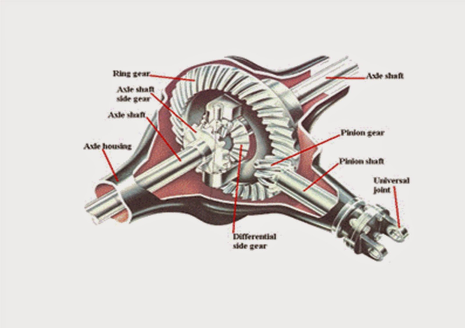 PUSAT BELAJAR DIFFERENTIAL / GARDAN