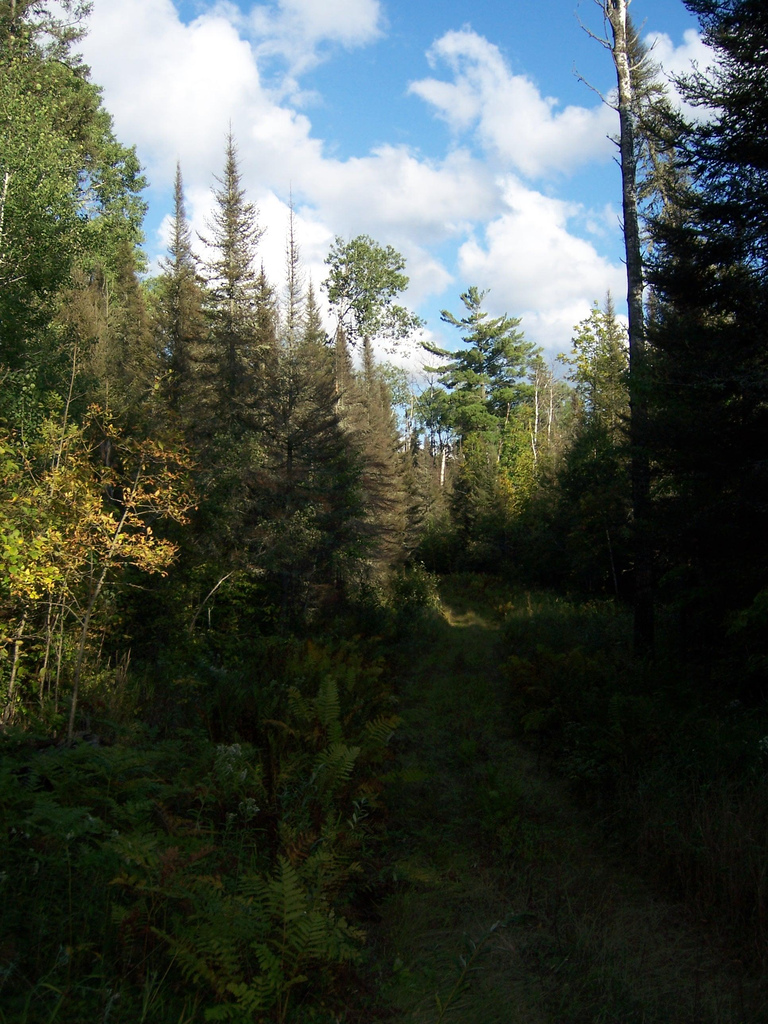 MN Bike Trail Navigator Planning that Minnesota Summer Biking Vacation