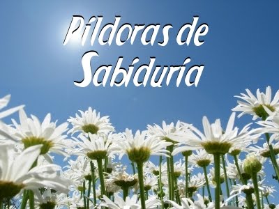 Pildoras de Sabiduria