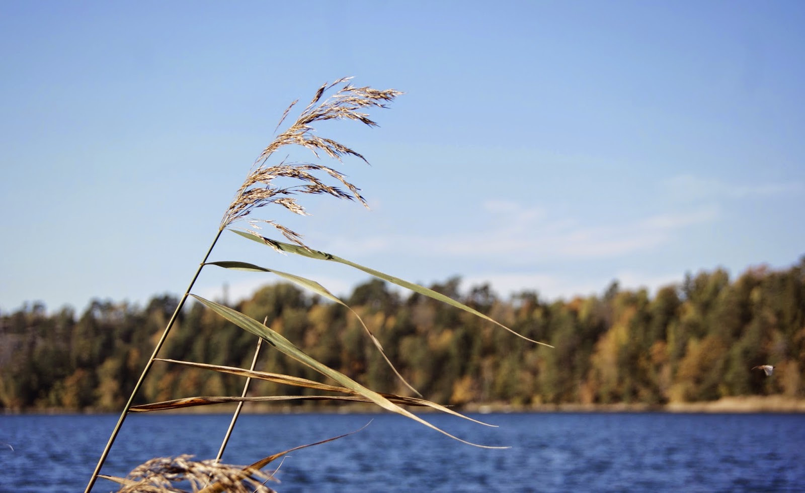 vilken dejtingsida ska man välja lund