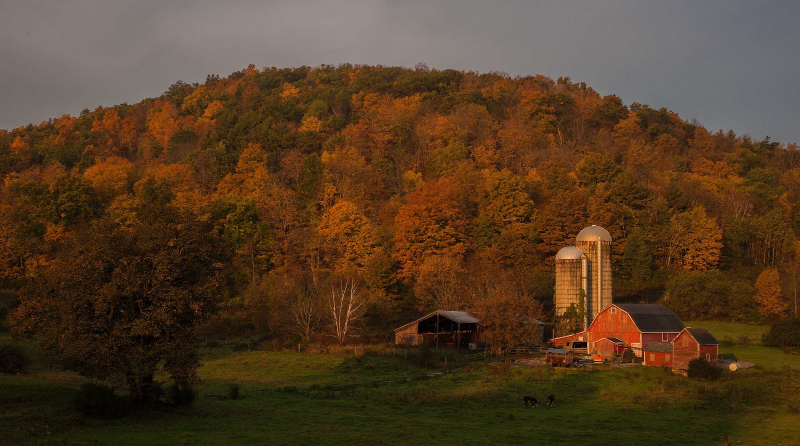 Your Shutter Buddy's USA Fall Tour Pownal Vermont to Ithaca New York
