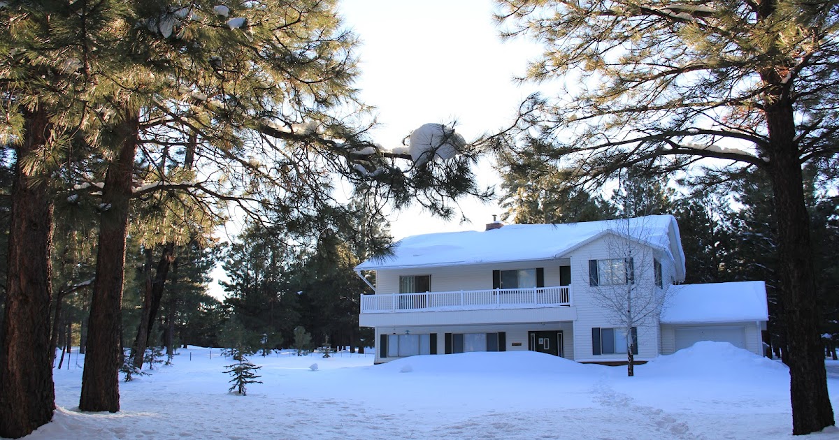 The Hancock Haven Beautiful, Secluded Cabin for Rent in Forest Lakes