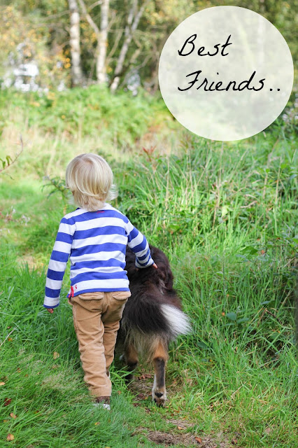 toddler and dog