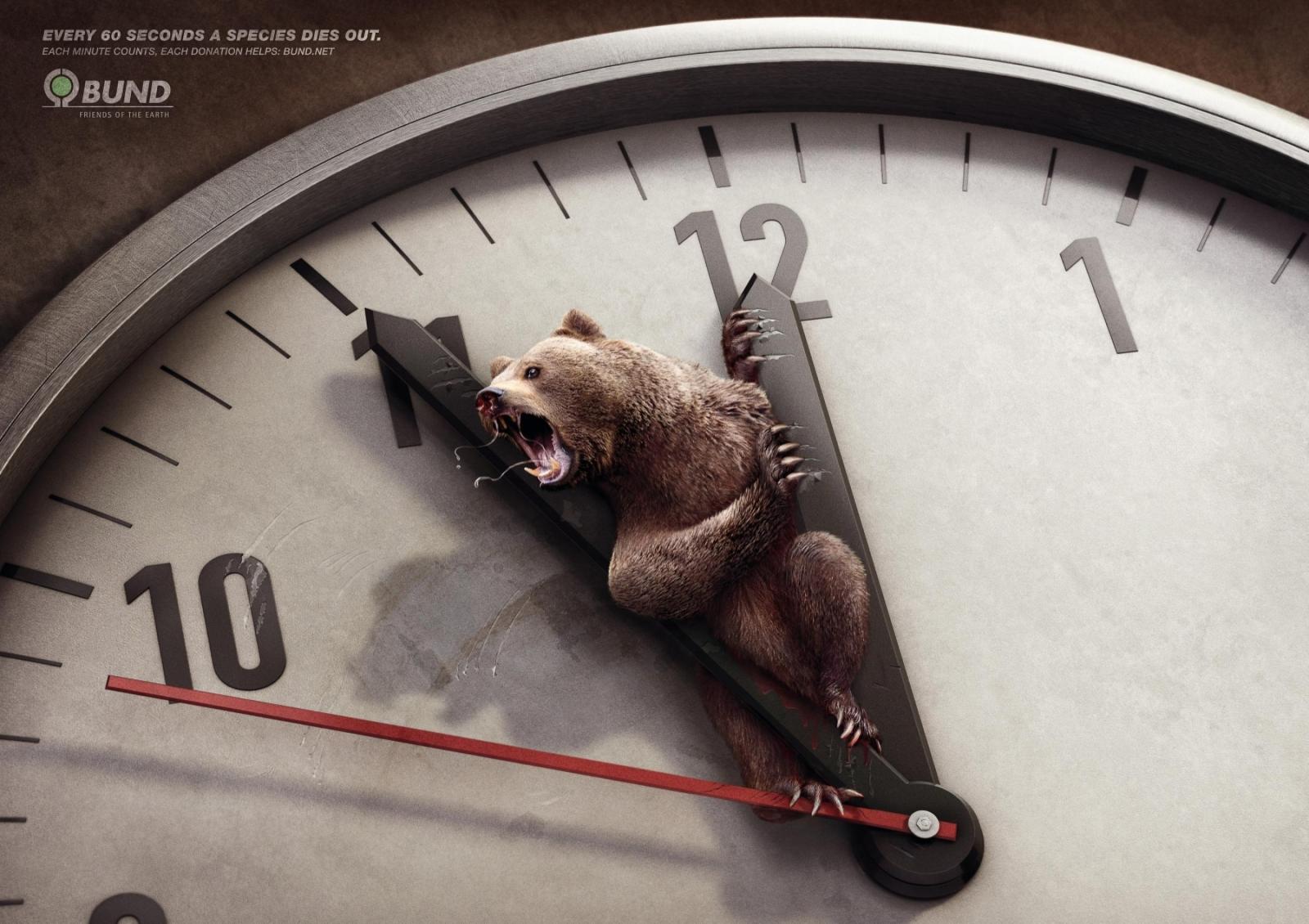 Реклама. животные. жизнь. убийство. Каждую минуту на Земле вымирает