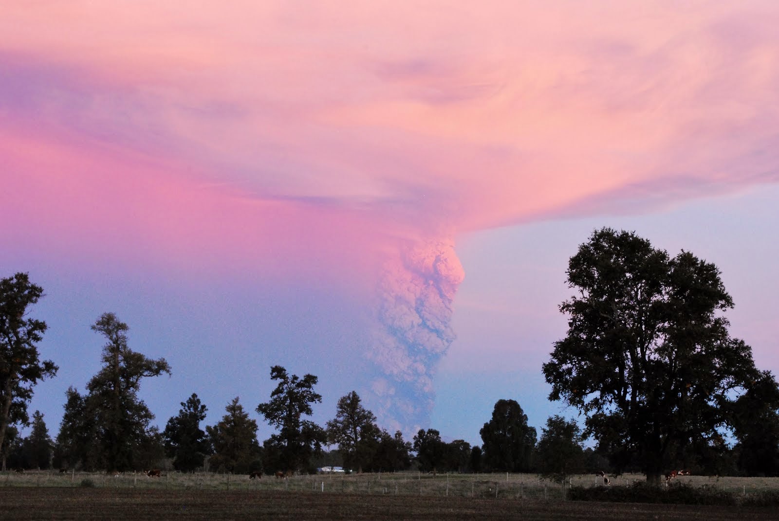 Volcán Calbuco Erupción