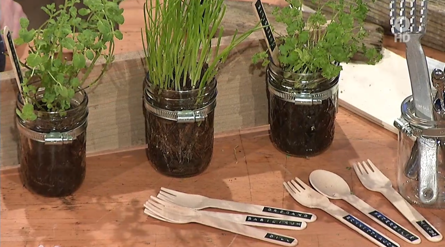 Binle S Kiga Blog 2017