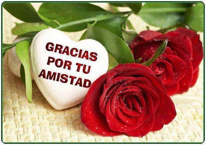 Gracias por tu amistad - Mis frases para ti