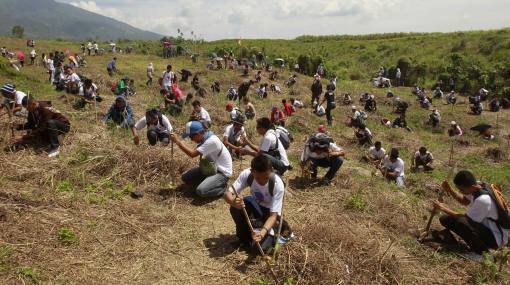Record mundial: en Filipinas plantaron 64.000 arboles en 15 minutos Record+mundial