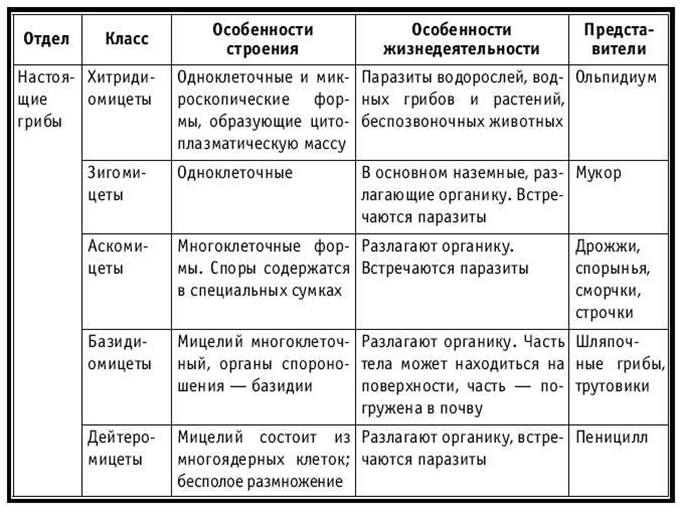 Изучаем Таблицу Умножения