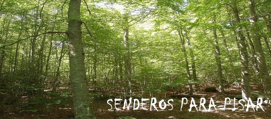 SENDEROS PARA PISAR