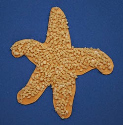 make a star fish with template