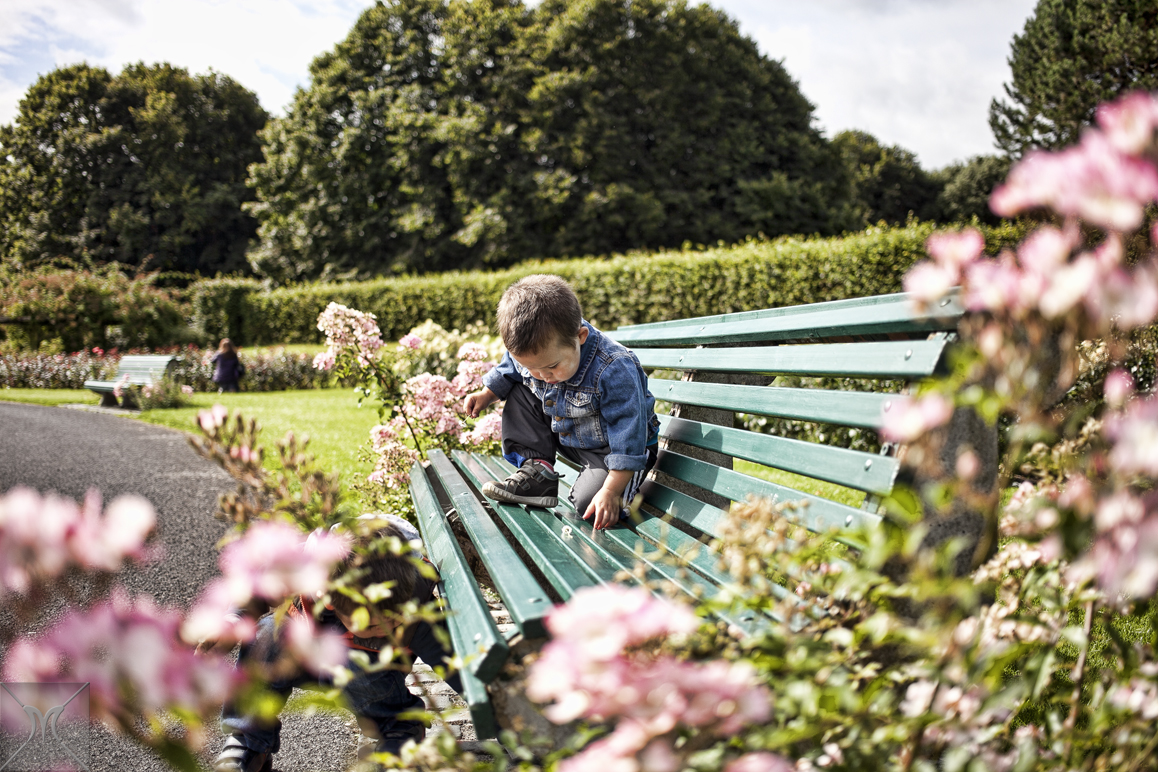 Discover Ireland St Annes Park Dublin Garden of Eden