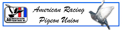 AMERICAN RACING PIGEON UNION