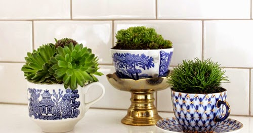 Tsleeve Blog: Teacup Garden