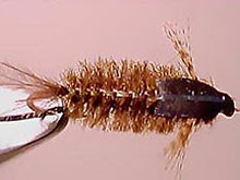 Isonychia Sparkle Nymph Indonesia Fly Fishing Indonesia Fly Tying