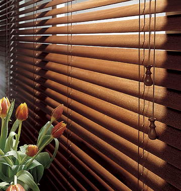 Persianas y Cortinas