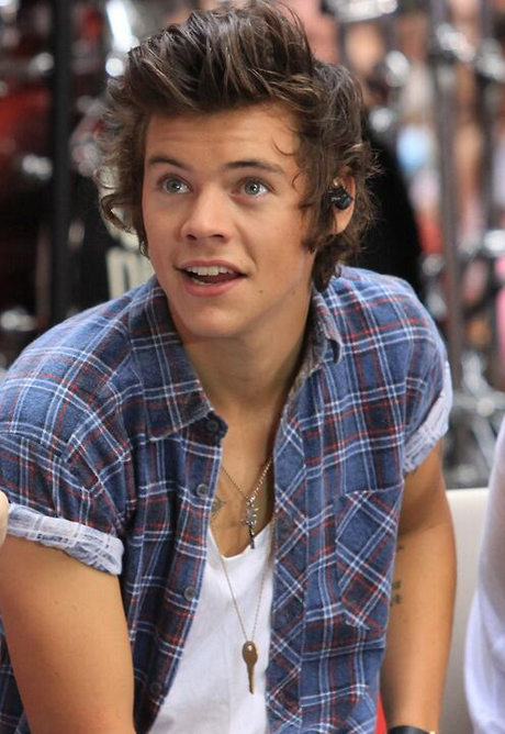 ¿Primos? Harry Styles y tu NECESITO CHICAS Harry+Styles+Today+Show+2013+August