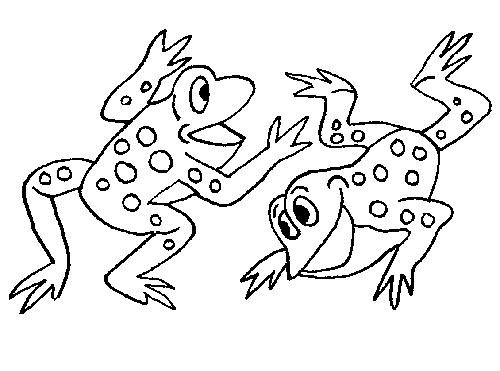 Frog Pond Coloring Page Frog Pond Coloring Page
