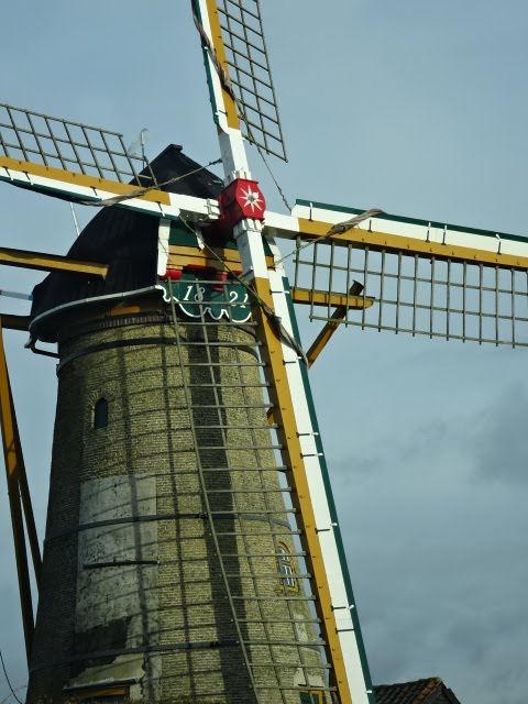 Molen Oostvoorne