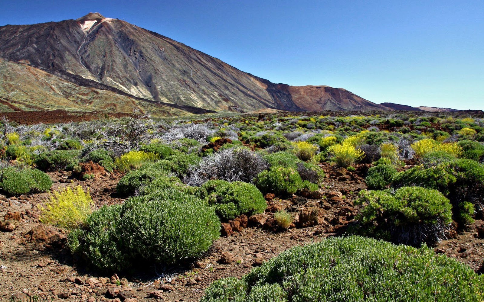 Mountain Best Wallpaper | Free Wallpaper