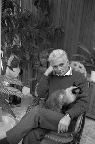 the cat ladies jaques derrida logos the cat cover letter to professor