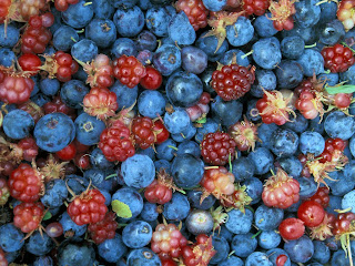 Free Download Mixed Berries Wallpapers