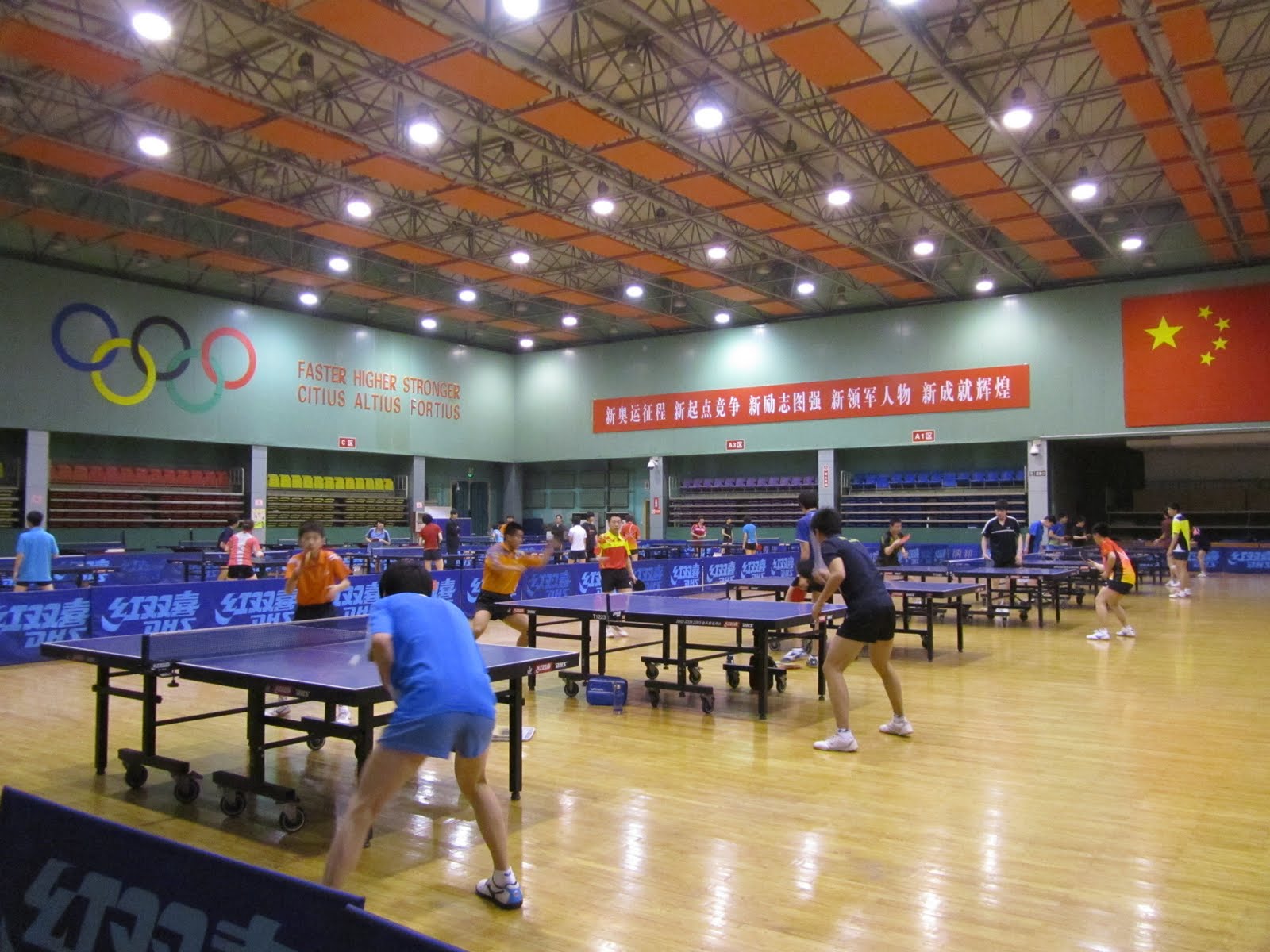 Table Tennis Bug China Summer Training Camp