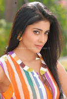 Shriya, saran, in, nuvva, nena, movie